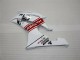 Bianco Carrozzeria Moto & Carena Moto Yamaha R6 08-16