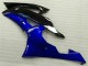 Blu Nero Carrozzeria Moto & Carena Moto Yamaha R6 08-16