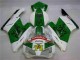 Verde Bianco Carene Moto Honda CBR 1000 RR 04-05