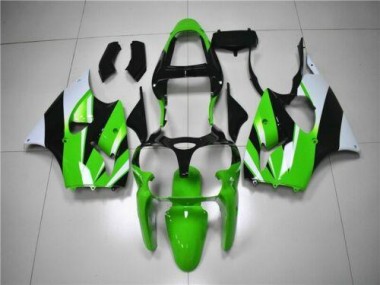 Verde Bianco Nero Carene Moto Kawasaki ZX6R 00-02